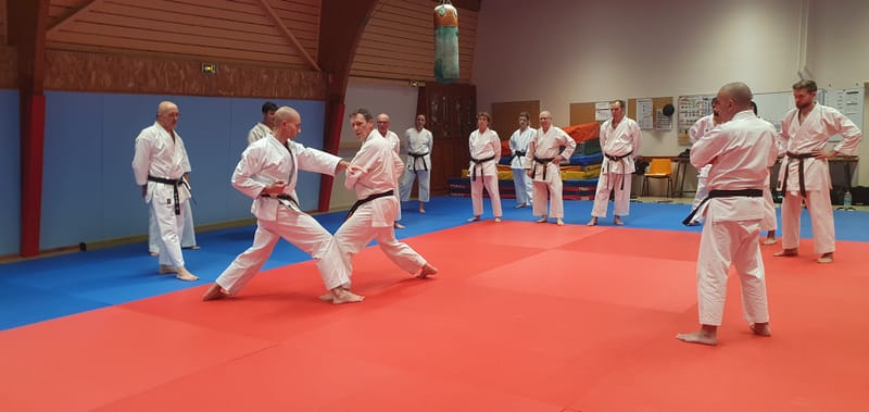 Stage Stéphane CASTRIQUE 7ème DAN SKIF - 03/11/2025