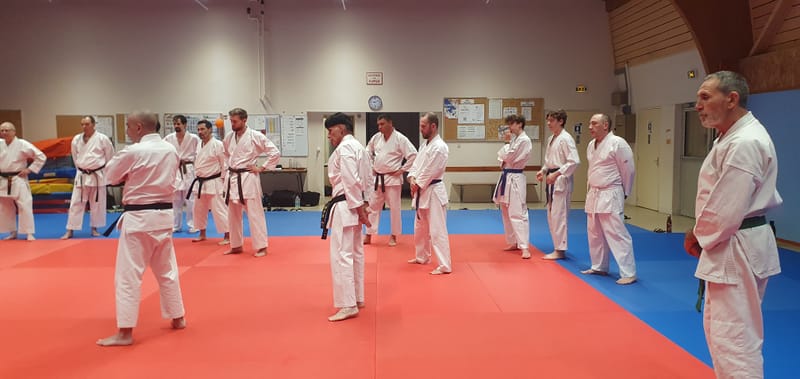 Stage Stéphane CASTRIQUE 7ème DAN SKIF - 03/11/2025