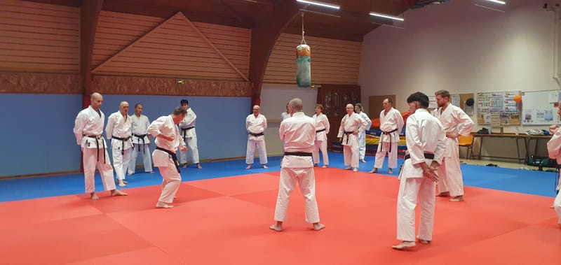 Stage Stéphane CASTRIQUE 7ème DAN SKIF - 03/11/2025