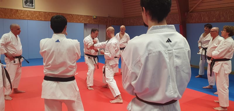 Stage Stéphane CASTRIQUE 7ème DAN SKIF - 03/11/2025