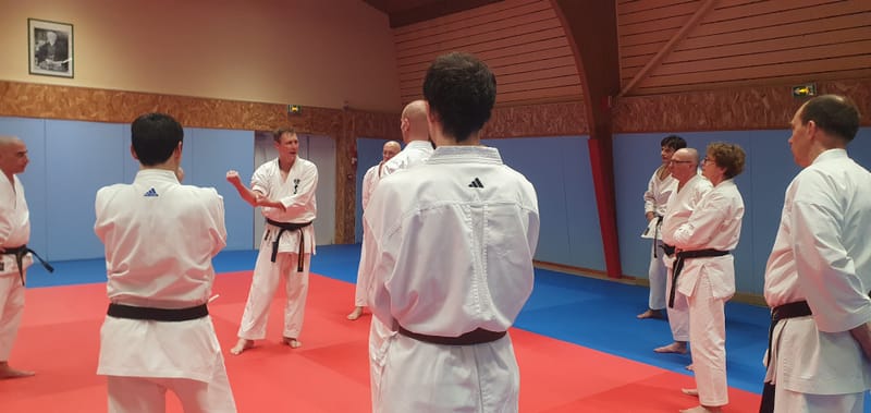 Stage Stéphane CASTRIQUE 7ème DAN SKIF - 03/11/2025