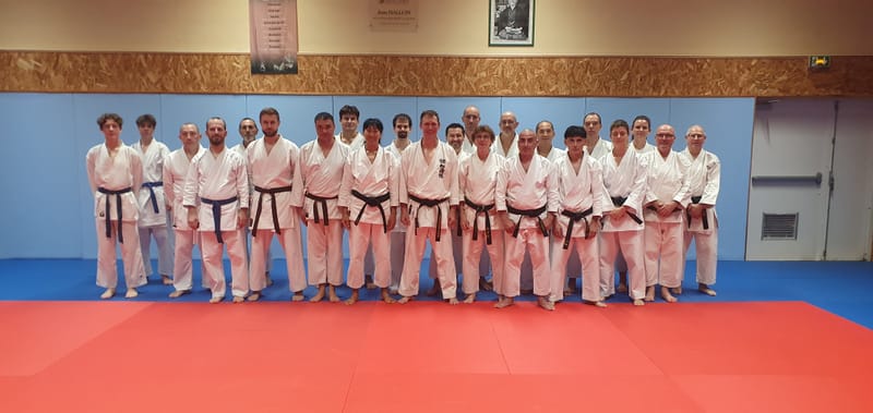 Stage Stéphane CASTRIQUE 7ème DAN SKIF - 03/11/2025