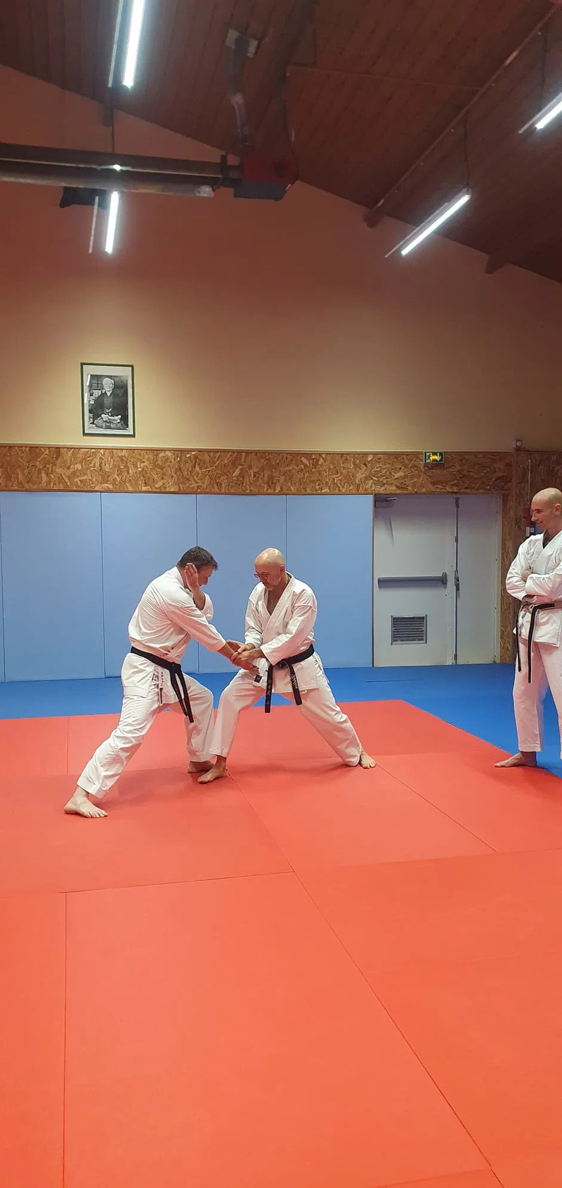 Stage Stéphane CASTRIQUE 7ème DAN SKIF - 03/11/2025