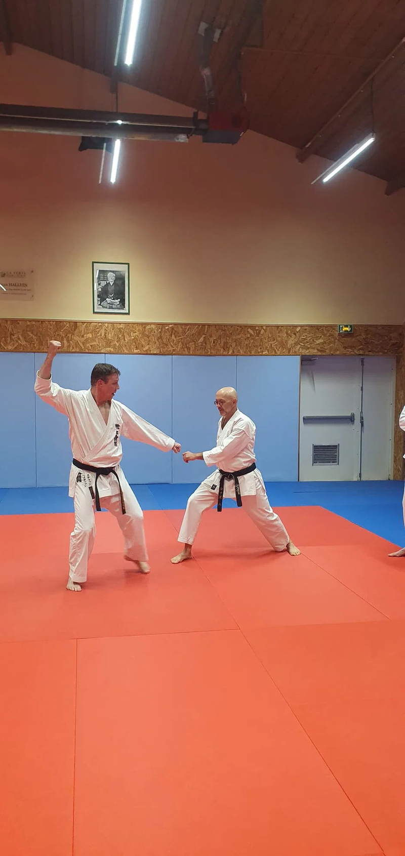 Stage Stéphane CASTRIQUE 7ème DAN SKIF - 03/11/2025