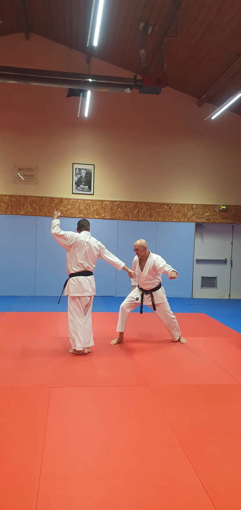 Stage Stéphane CASTRIQUE 7ème DAN SKIF - 03/11/2025