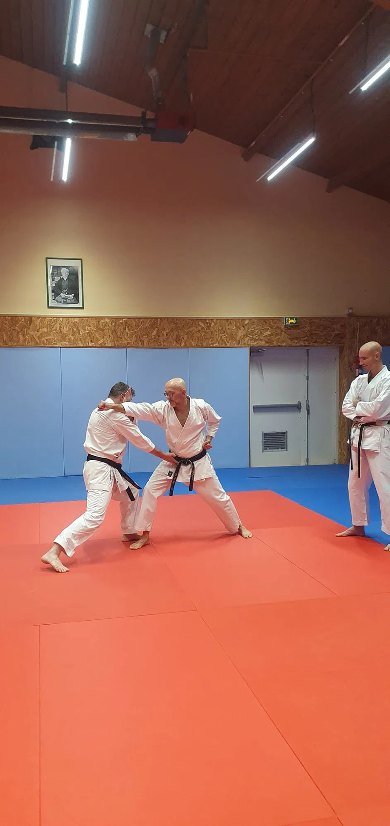 Stage Stéphane CASTRIQUE 7ème DAN SKIF - 03/11/2025