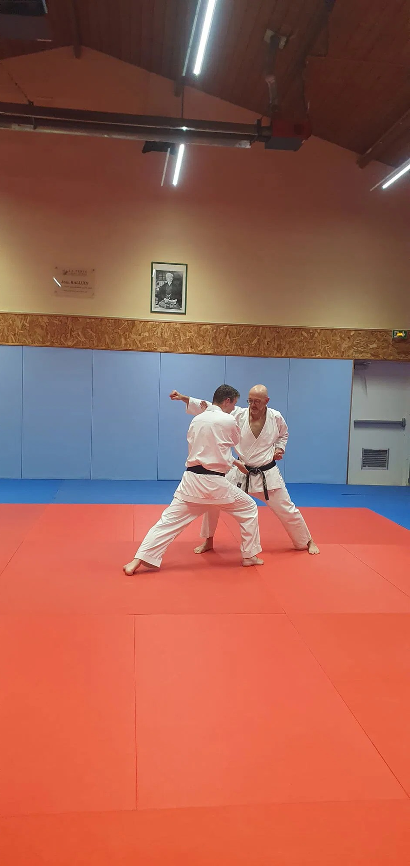 Stage Stéphane CASTRIQUE 7ème DAN SKIF - 03/11/2025