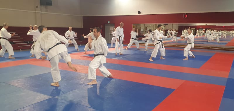 Stage préparation aux grades avec Sébastien TROISPOUX Directeur Technique Départemental - 08/11/2025