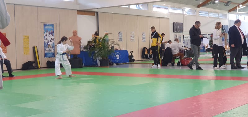 Coupe départementale Kumité / Kata - 30/11/2025 à St Jean le Blanc