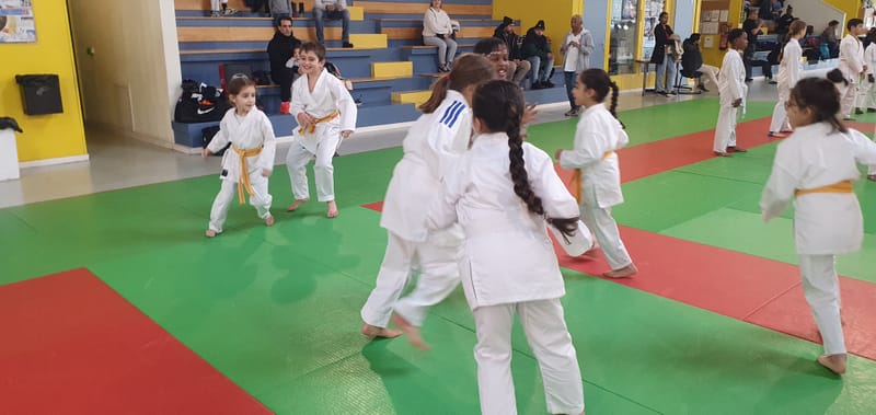 Stage Enfants le 06/12/2025 St Jean le Blanc