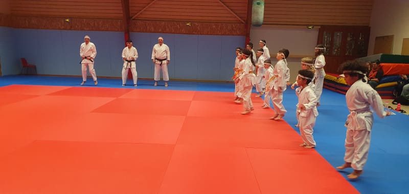 TELETHON 2025 à La Ferté Saint Aubin