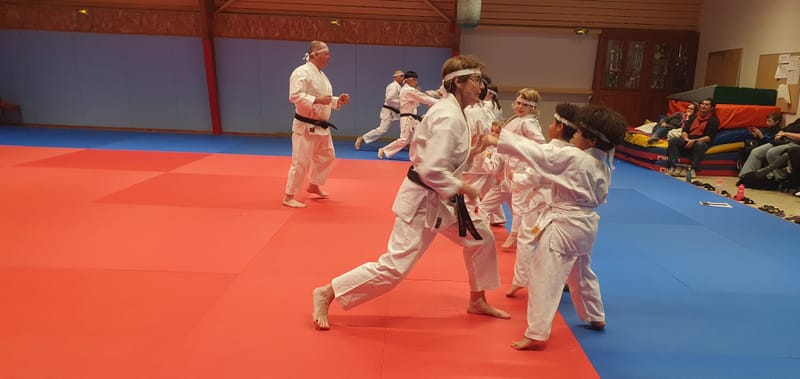 TELETHON 2025 à La Ferté Saint Aubin