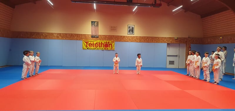 TELETHON 2025 à La Ferté Saint Aubin