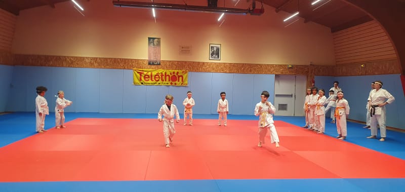 TELETHON 2025 à La Ferté Saint Aubin