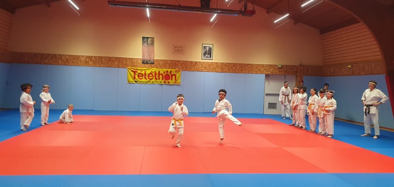 TELETHON 2025 à La Ferté Saint Aubin