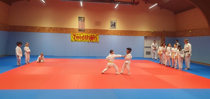 TELETHON 2025 à La Ferté Saint Aubin