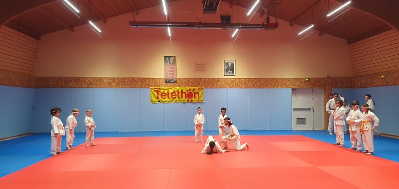 TELETHON 2025 à La Ferté Saint Aubin