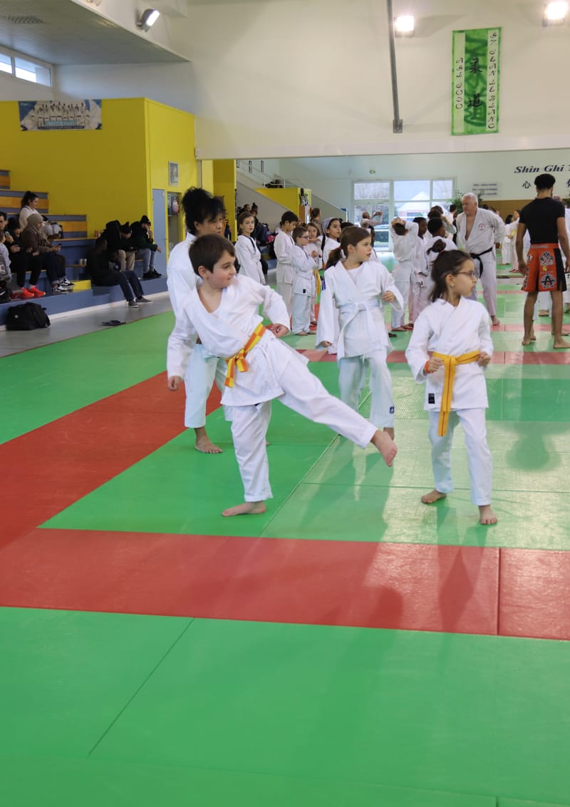 Stage Enfants le 06/12/2025 St Jean le Blanc