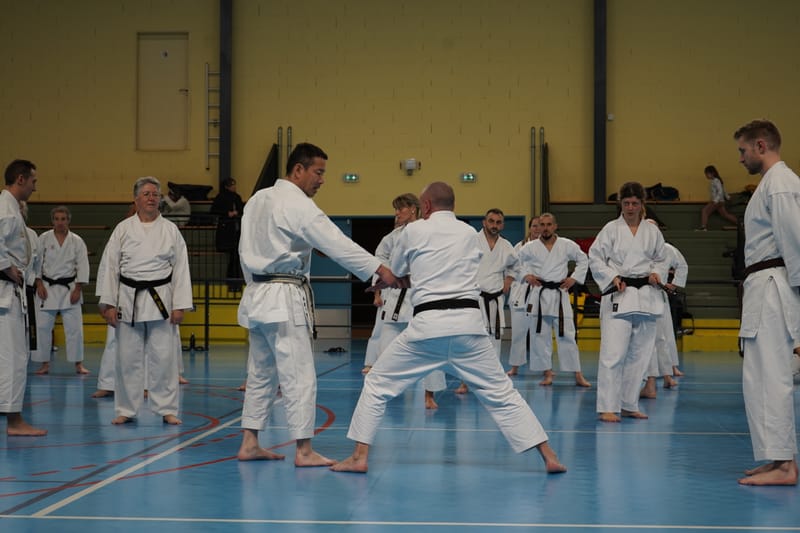 Stage Fumitoshi KANAZAWA le 13/02/2026 à la Ferté Saint Aubin