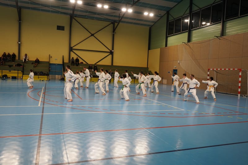 Stage Fumitoshi KANAZAWA le 13/02/2026 à la Ferté Saint Aubin