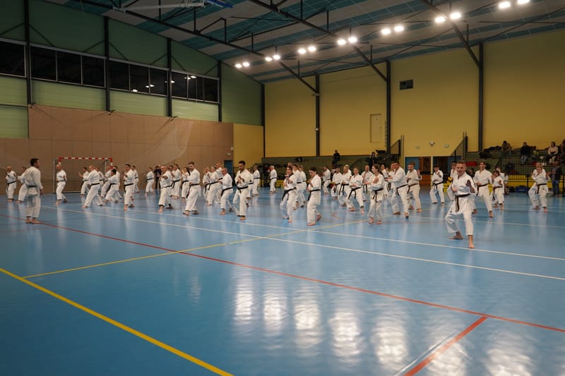 Stage Fumitoshi KANAZAWA le 13/02/2026 à la Ferté Saint Aubin