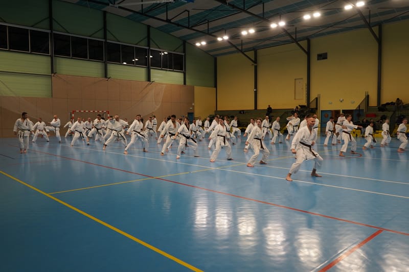 Stage Fumitoshi KANAZAWA le 13/02/2026 à la Ferté Saint Aubin