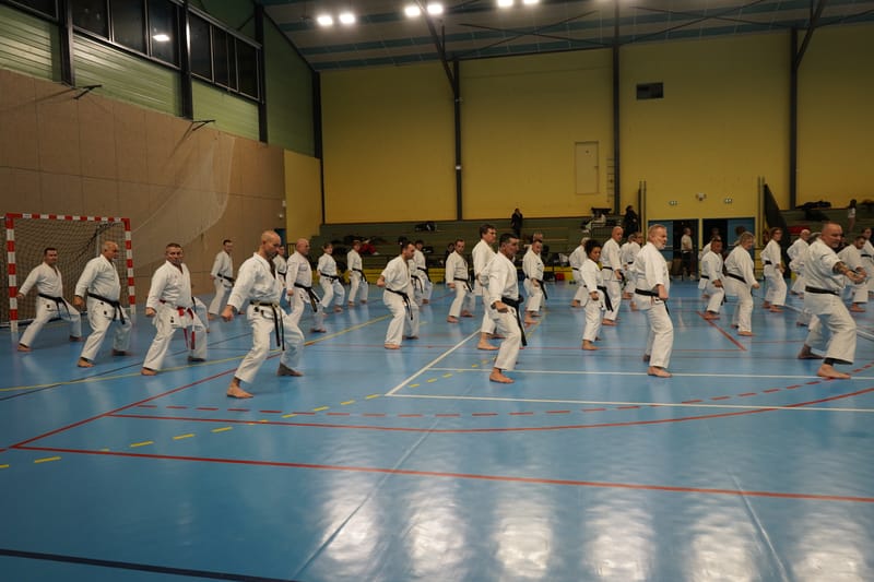 Stage Fumitoshi KANAZAWA le 13/02/2026 à la Ferté Saint Aubin