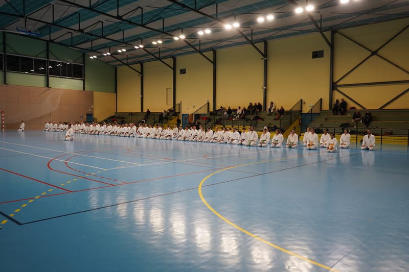 Stage Fumitoshi KANAZAWA le 13/02/2026 à la Ferté Saint Aubin