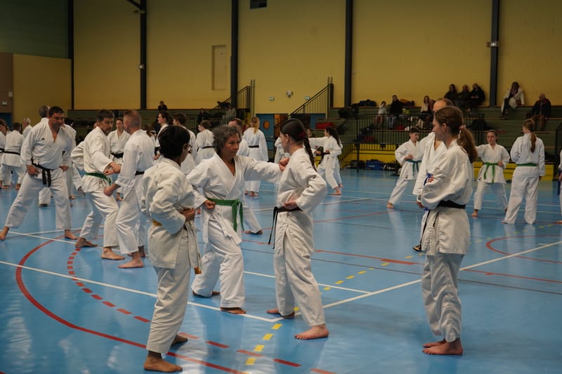 Stage Fumitoshi KANAZAWA le 13/02/2026 à la Ferté Saint Aubin