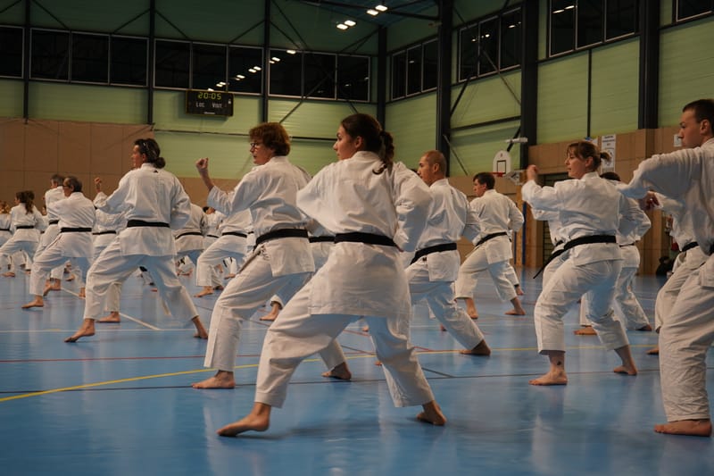 Stage Fumitoshi KANAZAWA le 13/02/2026 à la Ferté Saint Aubin