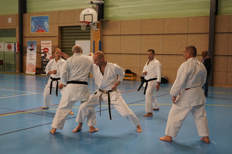 Stage Fumitoshi KANAZAWA le 13/02/2026 à la Ferté Saint Aubin