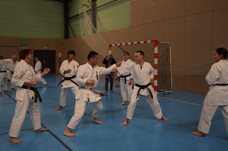 Stage Fumitoshi KANAZAWA le 13/02/2026 à la Ferté Saint Aubin