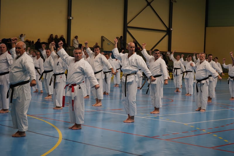 Stage Fumitoshi KANAZAWA le 13/02/2026 à la Ferté Saint Aubin