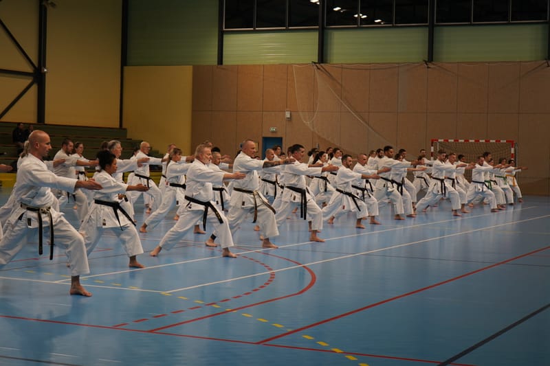 Stage Fumitoshi KANAZAWA le 13/02/2026 à la Ferté Saint Aubin