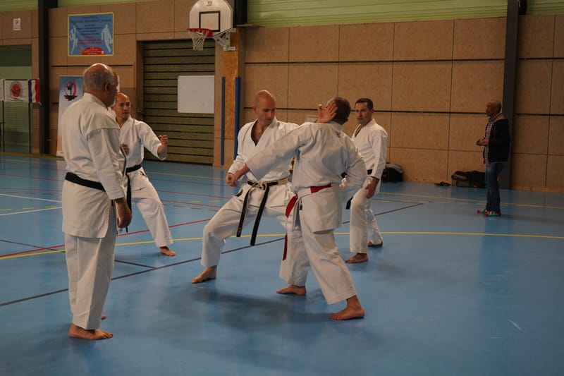 Stage Fumitoshi KANAZAWA le 13/02/2026 à la Ferté Saint Aubin