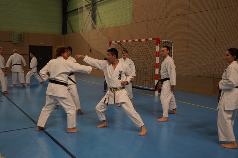 Stage Fumitoshi KANAZAWA le 13/02/2026 à la Ferté Saint Aubin