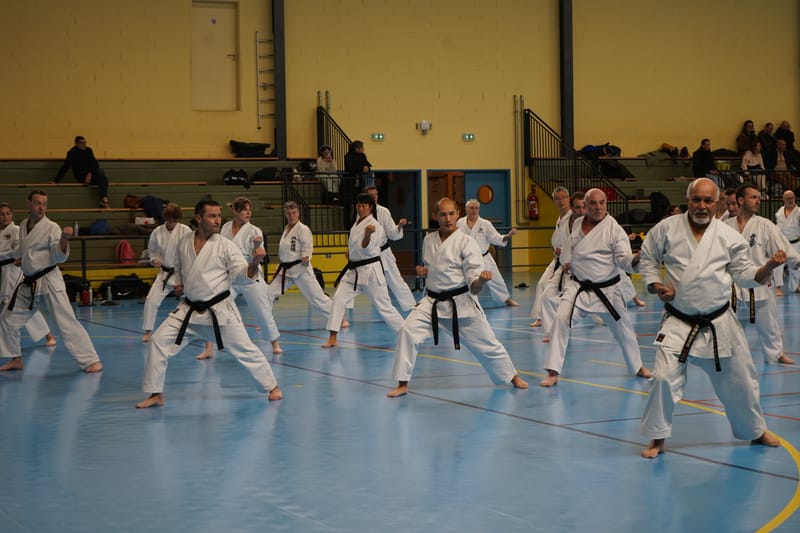 Stage Fumitoshi KANAZAWA le 13/02/2026 à la Ferté Saint Aubin