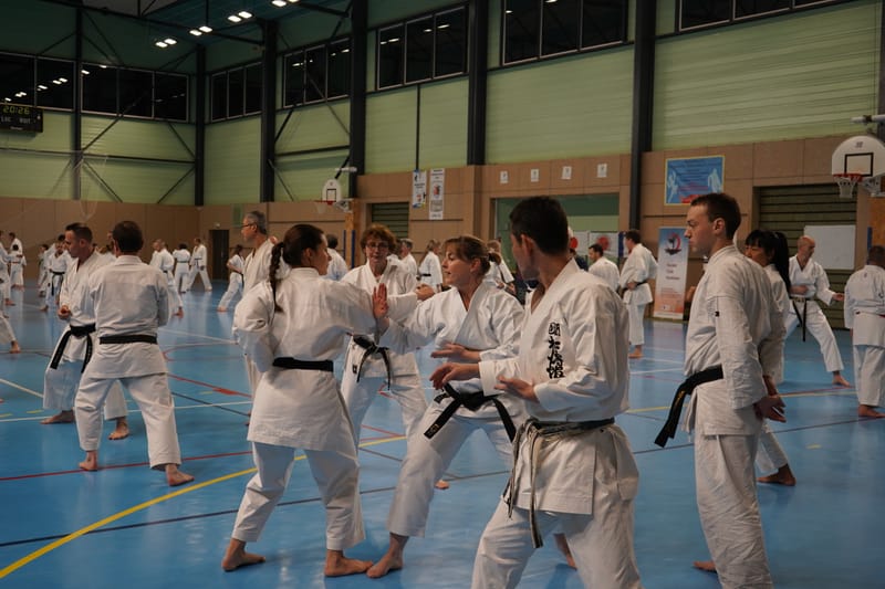 Stage Fumitoshi KANAZAWA le 13/02/2026 à la Ferté Saint Aubin