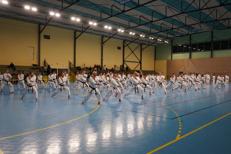 Stage Fumitoshi KANAZAWA le 13/02/2026 à la Ferté Saint Aubin