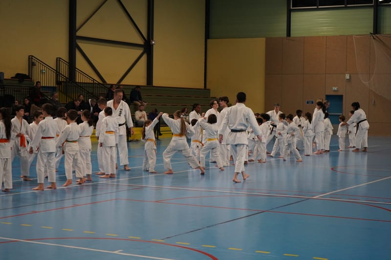 Stage Fumitoshi KANAZAWA le 13/02/2026 à la Ferté Saint Aubin