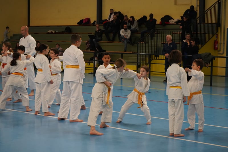 Stage Fumitoshi KANAZAWA le 13/02/2026 à la Ferté Saint Aubin