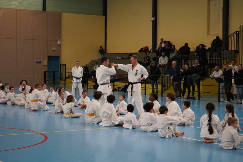 Stage Fumitoshi KANAZAWA le 13/02/2026 à la Ferté Saint Aubin