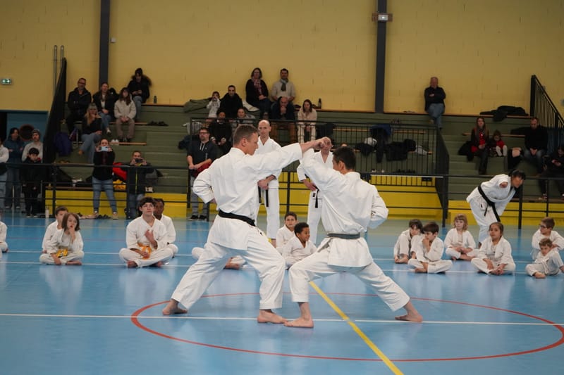 Stage Fumitoshi KANAZAWA le 13/02/2026 à la Ferté Saint Aubin