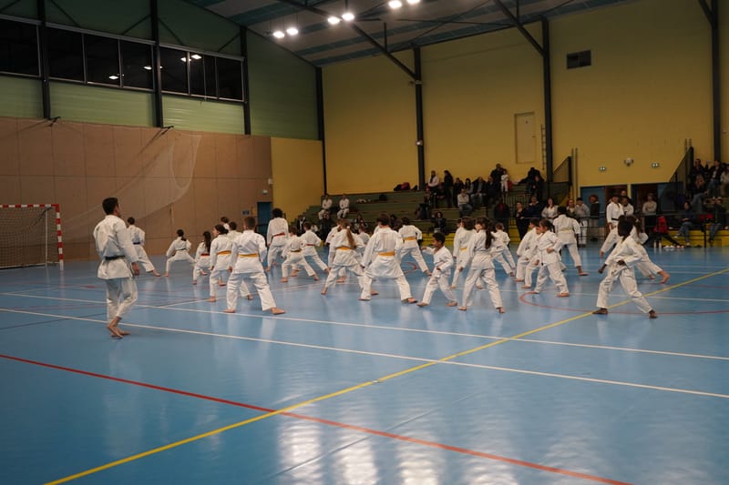 Stage Fumitoshi KANAZAWA le 13/02/2026 à la Ferté Saint Aubin