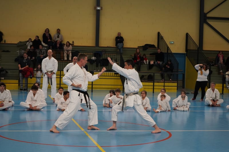 Stage Fumitoshi KANAZAWA le 13/02/2026 à la Ferté Saint Aubin