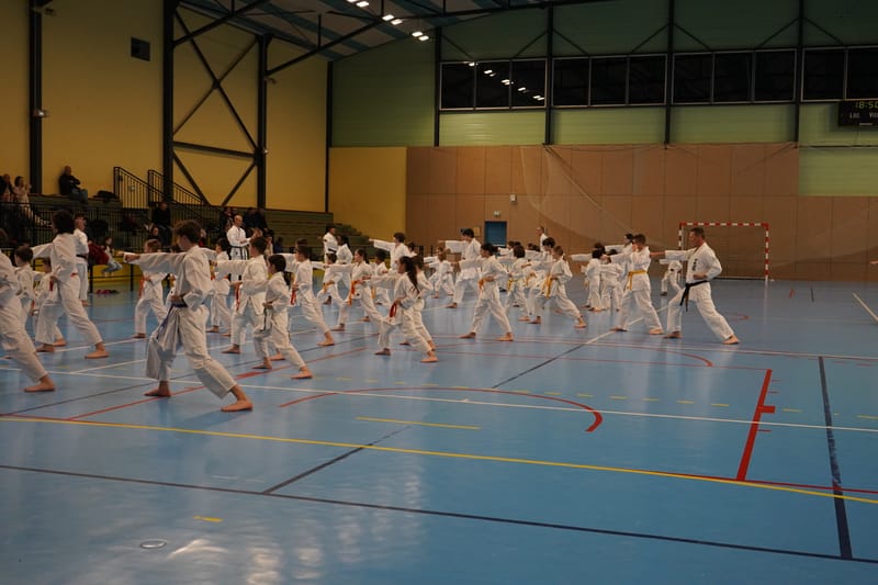 Stage Fumitoshi KANAZAWA le 13/02/2026 à la Ferté Saint Aubin