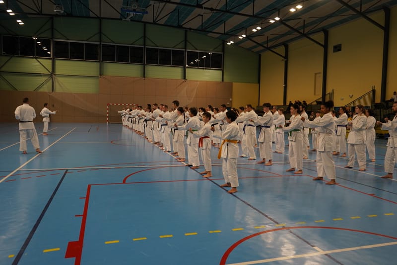 Stage Fumitoshi KANAZAWA le 13/02/2026 à la Ferté Saint Aubin