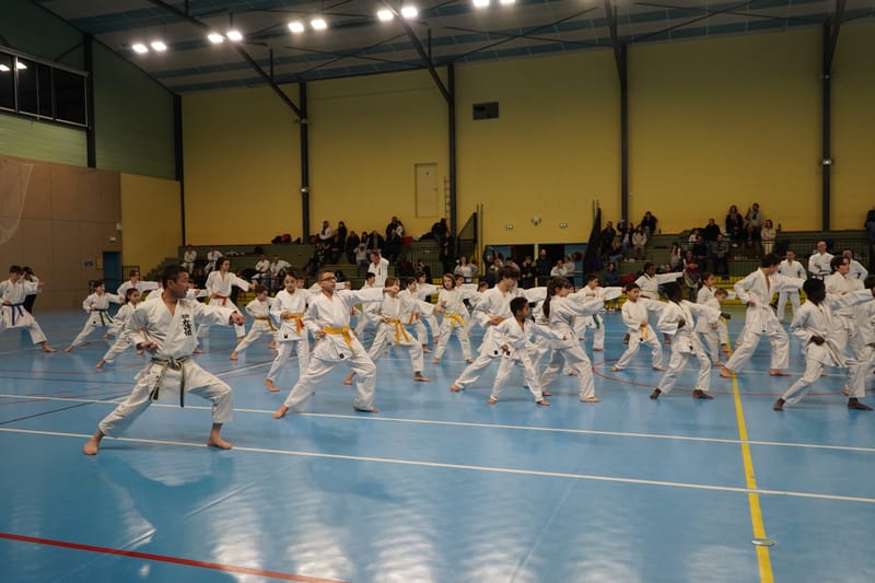 Stage Fumitoshi KANAZAWA le 13/02/2026 à la Ferté Saint Aubin