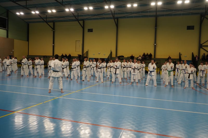 Stage Fumitoshi KANAZAWA le 13/02/2026 à la Ferté Saint Aubin