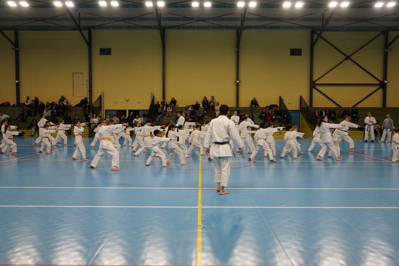 Stage Fumitoshi KANAZAWA le 13/02/2026 à la Ferté Saint Aubin